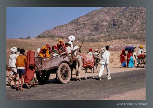 PUSHKAR-042
