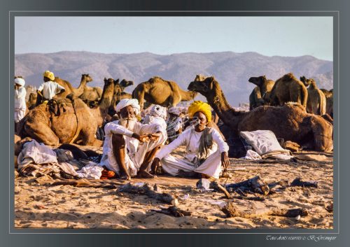 PUSHKAR-045