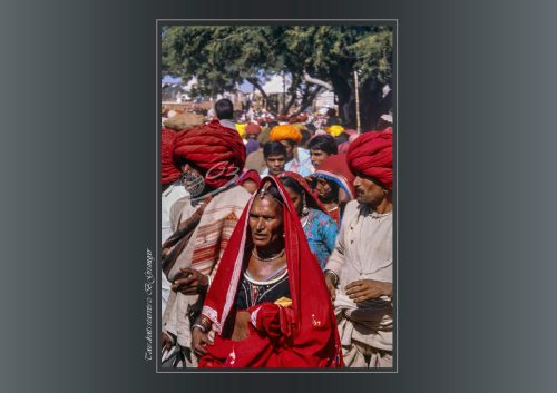 PUSHKAR-046