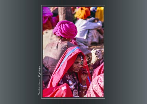 PUSHKAR-050