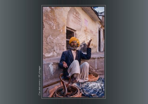PUSHKAR-052