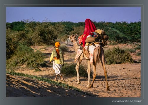 PUSHKAR-06