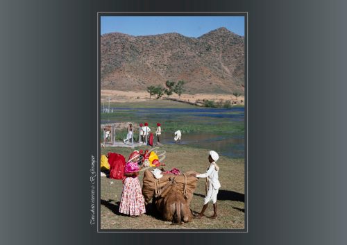 PUSHKAR-060