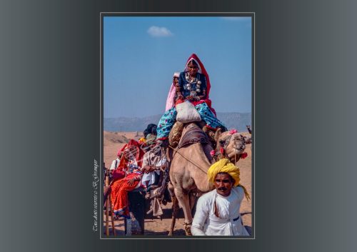 PUSHKAR-062