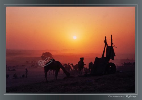 PUSHKAR-07
