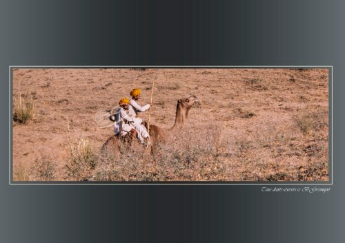 PUSHKAR-083