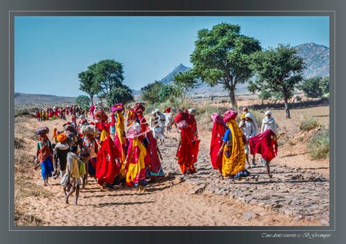 PUSHKAR-090