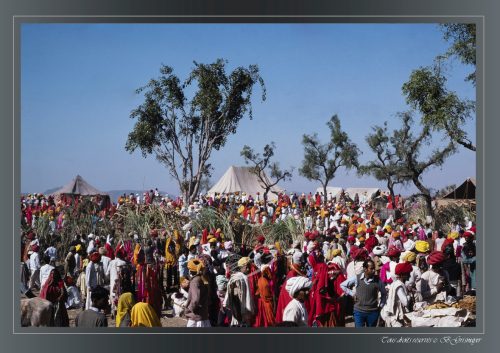 PUSHKAR-092