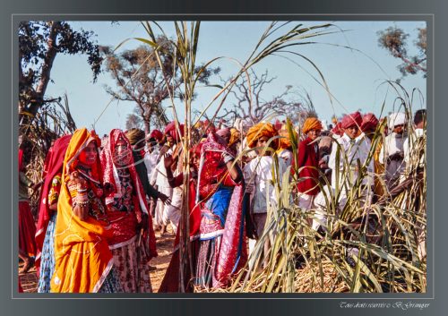 PUSHKAR-095