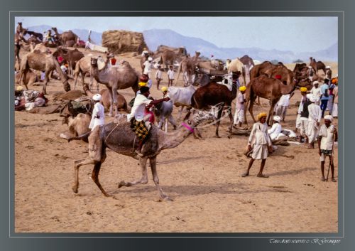 PUSHKAR-097
