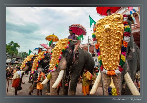 013-Sabarimala