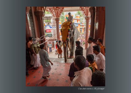 015-Sabarimala