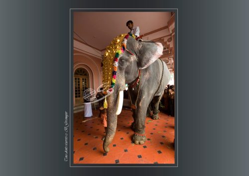 016-Sabarimala