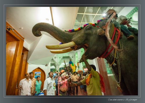 018-Sabarimala