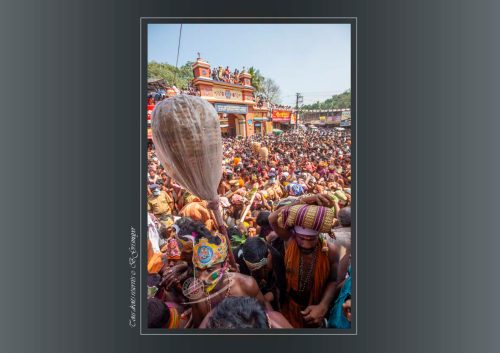 019-Sabarimala
