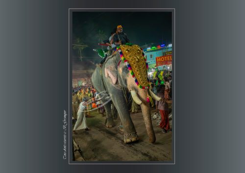 044-Sabarimala