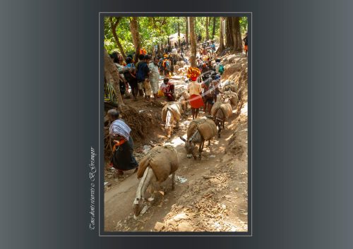 174-Sabarimala