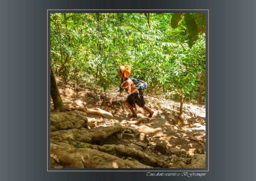 177-Sabarimala