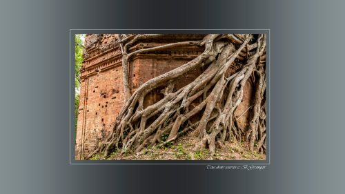 SAMBOR04