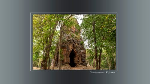 SAMBOR06