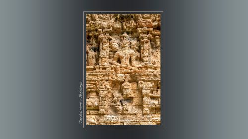 SAMBOR53