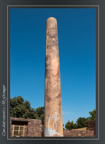 118-PILIER-ASHOKA-SANCHI-