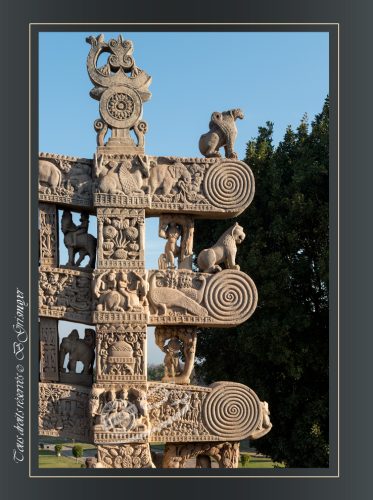 133-TORANA-NORD-SANCHI