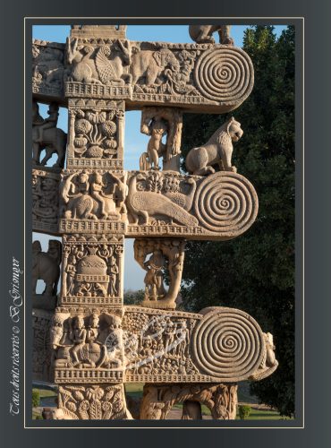 135-TORANA-NORD-SANCHI