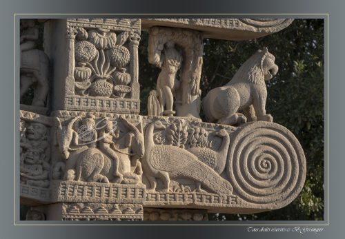 137-TORANA-NORD-SANCHI