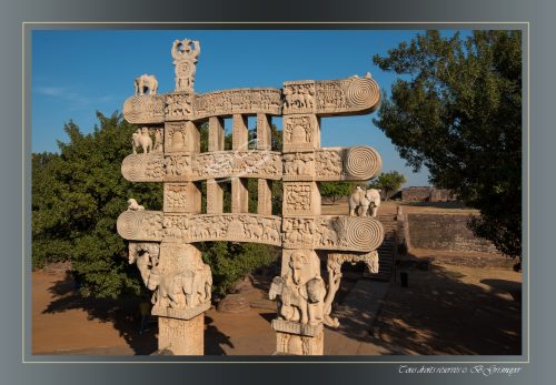156-TORANA-EST-SANCHI