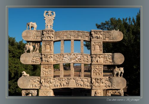 157-TORANA-EST-SANCHI