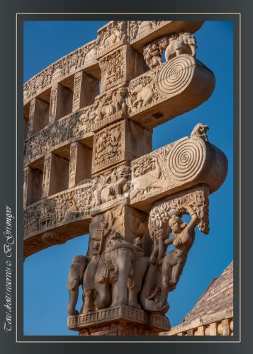 165-Yakshi-du-Torana-Est-SANCHI-Le-celebre-Yakshini-sous-le-feuillage-et-suspendu-devant-un-elephant