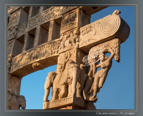166-Yakshi-du-Torana-Est-SANCHI-Le-celebre-Yakshini-sous-le-feuillage-et-suspendu-devant-un-elephant