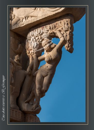 167-Yakshi-du-Torana-Est-SANCHI-Le-celebre-Yakshini-sous-le-feuillage-et-suspendu-devant-un-elephant