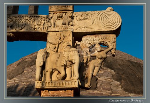 169-Yakshi-du-Torana-Est-SANCHI-Le-celebre-Yakshini-sous-le-feuillage-et-suspendu-devant-un-elephant