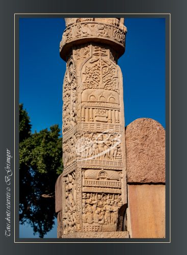195-DETAILS-TORANAS-SANCHI-092