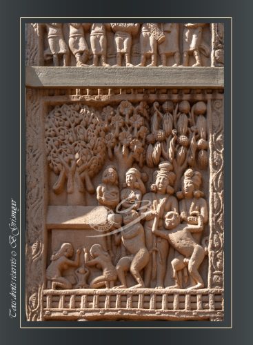 212-DETAILS-TORANAS-NORD-SANCHI-Offrande-dun-bol-de-miel-au-Bienheureux-par-un-singe