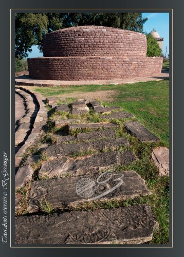 216-DIVERS-GENERAL-SANCHI
