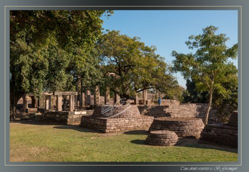 218-DIVERS-GENERAL-SANCHI