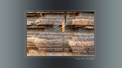 Prasat Chhin