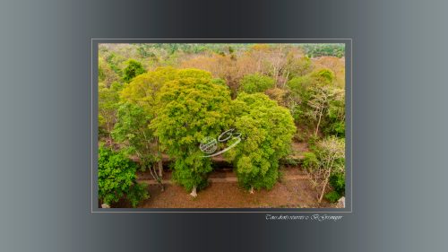 Prasat Thom