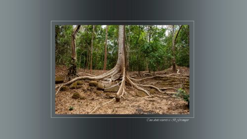 Prasat Ta Nei