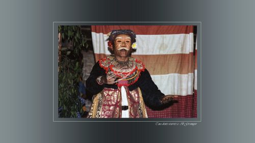 Widjil - Le grand frère