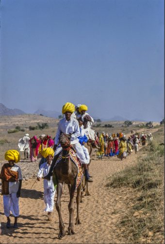 A dos de chameau