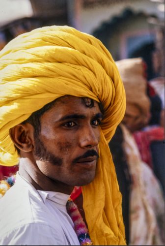 Commerçant Rajput
