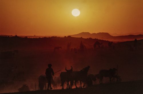 Coucher de soleil sur le désert du Rajastan
